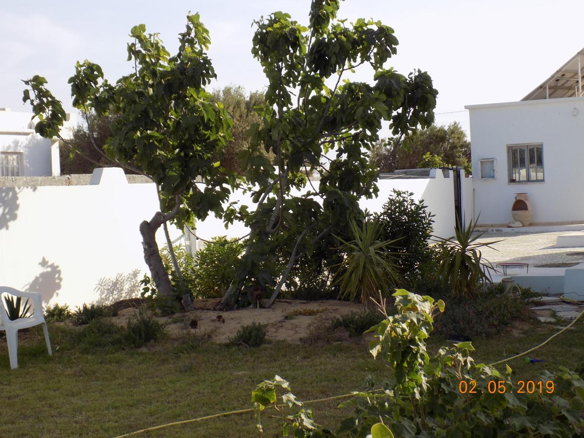 Dar Mamina Bed & Breakfast Sidi ash Shammakh Exterior photo