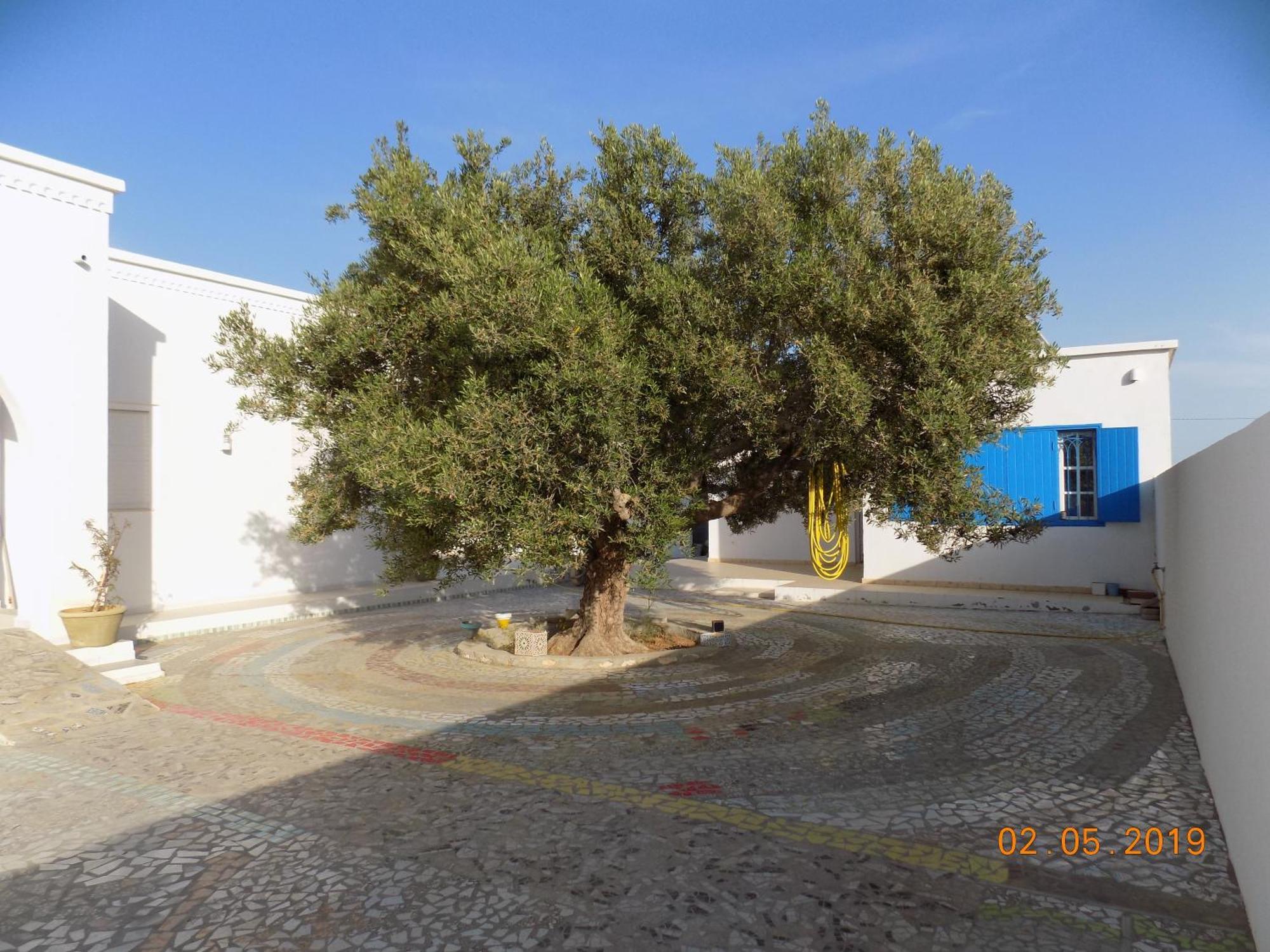 Dar Mamina Bed & Breakfast Sidi ash Shammakh Exterior photo