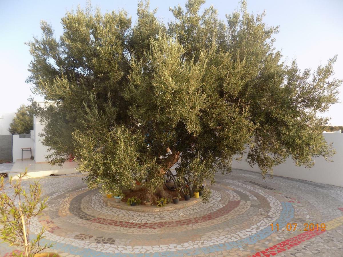 Dar Mamina Bed & Breakfast Sidi ash Shammakh Exterior photo